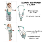 Baby Walking Belt,Toddler Safety Harness,Walking Assistant for Babies,Secure Baby Walker,Infant Walking Support Strap