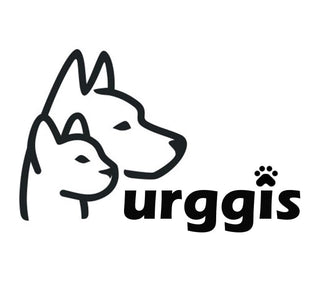 Furggis